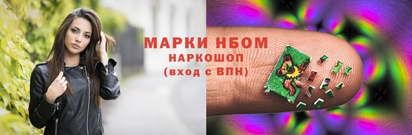 a pvp Аркадак