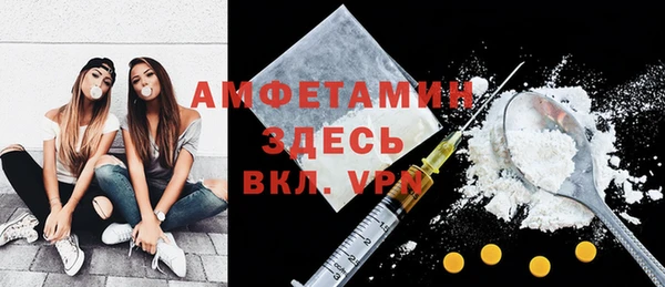 МДПВ Пересвет