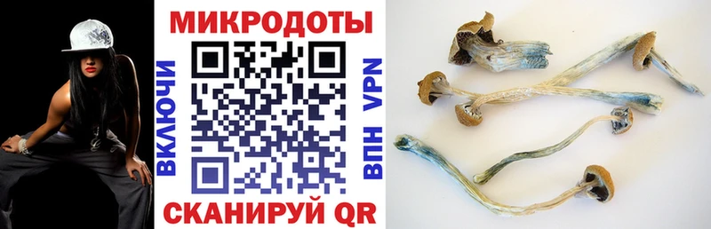 Псилоцибиновые грибы прущие грибы  ОМГ ОМГ ССЫЛКА  Любим 